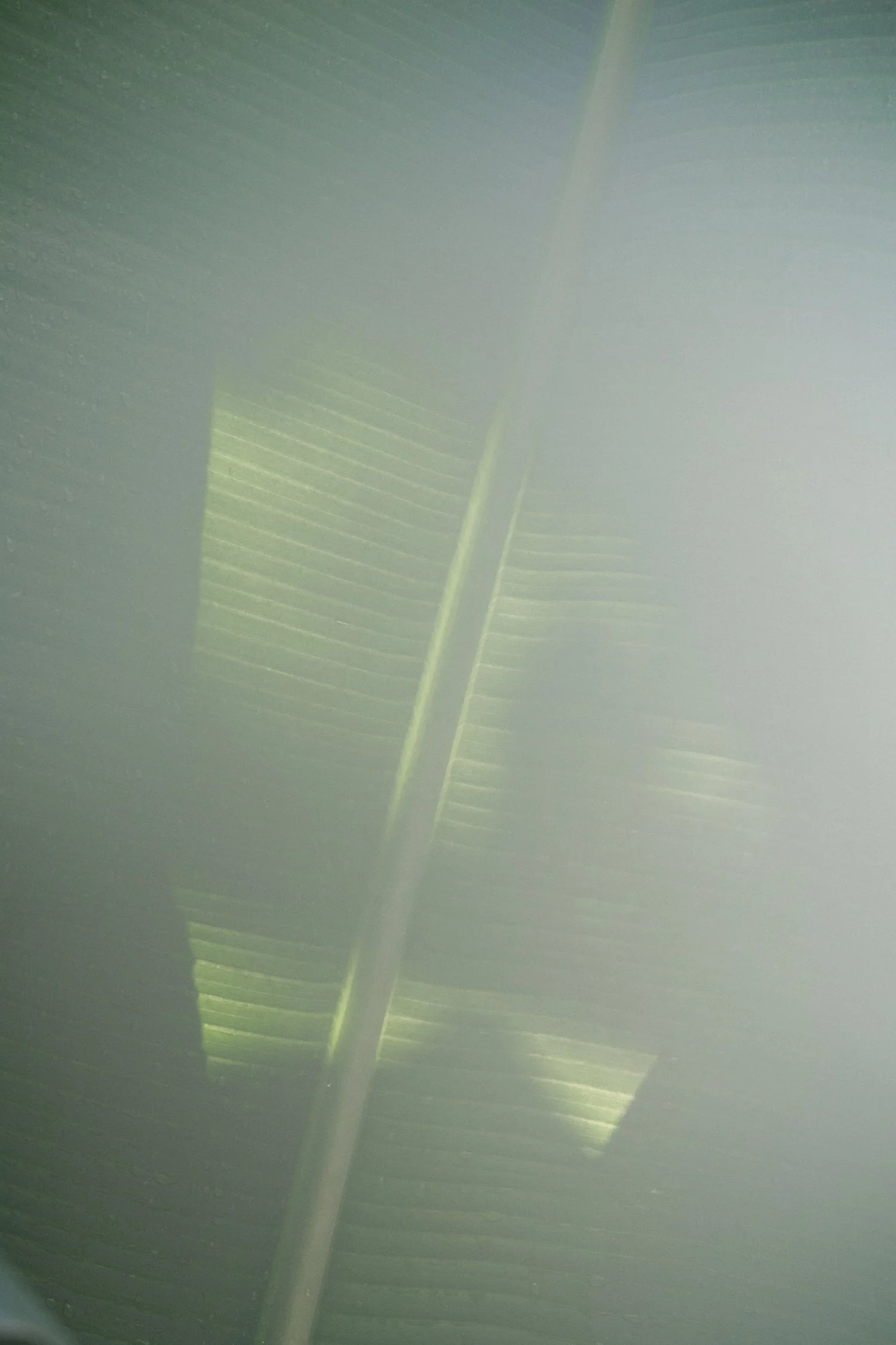 eisenbeiss_260115_7622.jpg