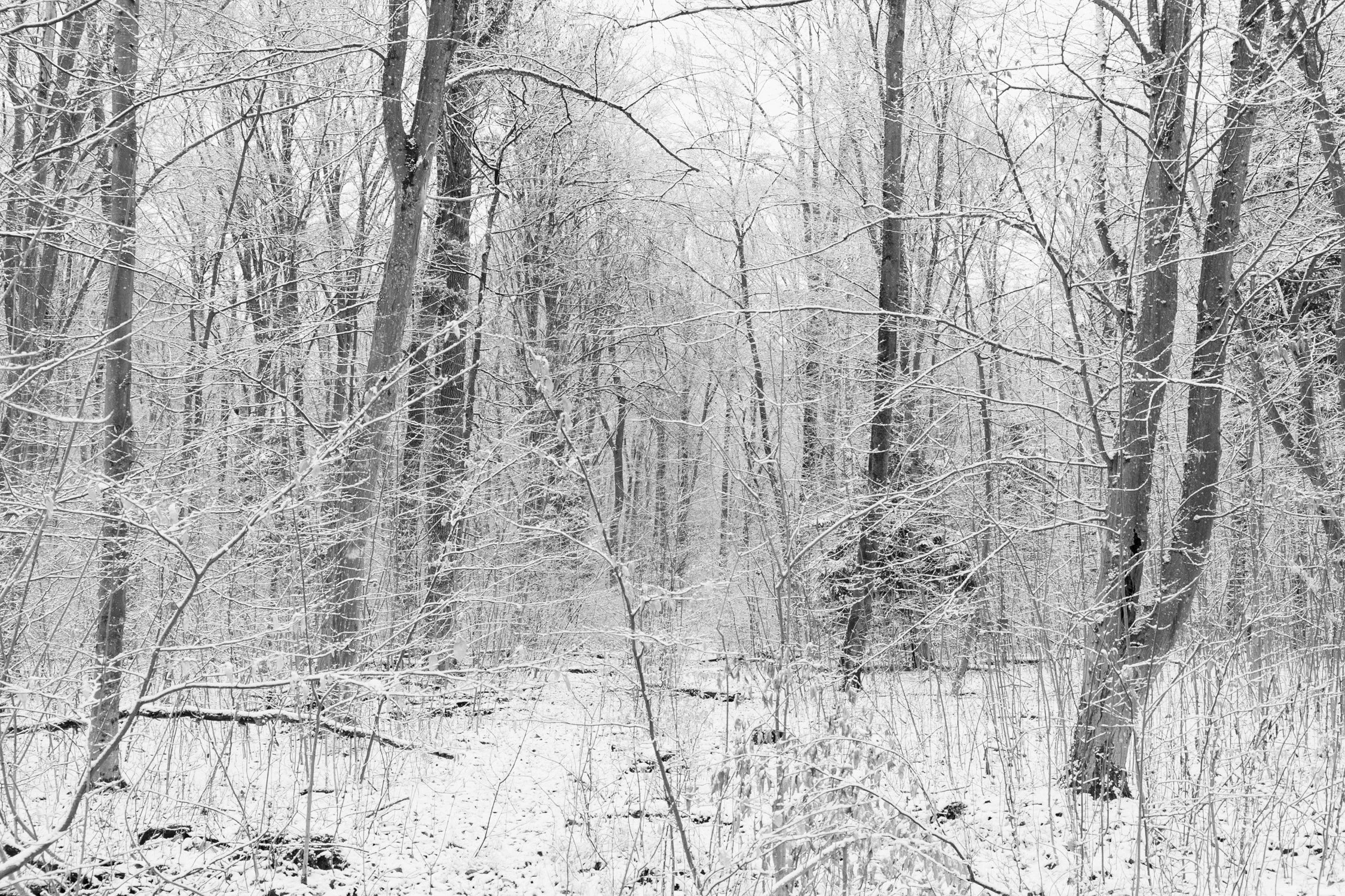 eisenbeiss_260215_0386.jpg