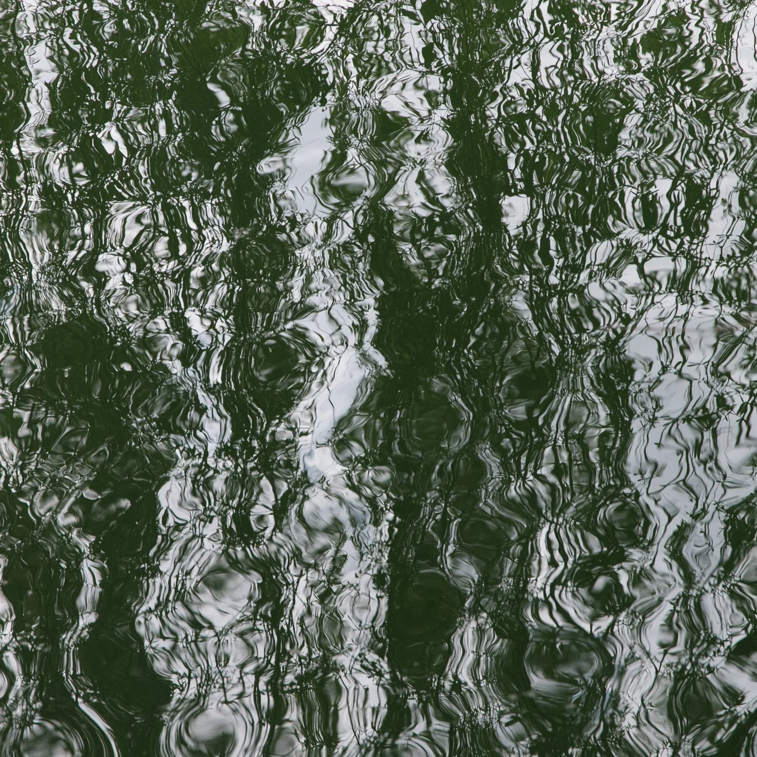 eisenbeiss_260416_1748.jpg