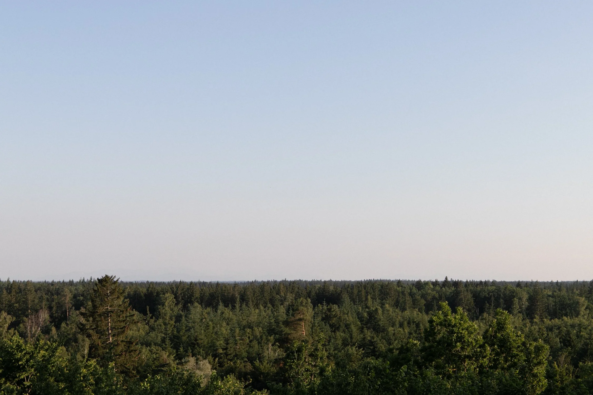 eisenbeiss_250619_0520.jpg