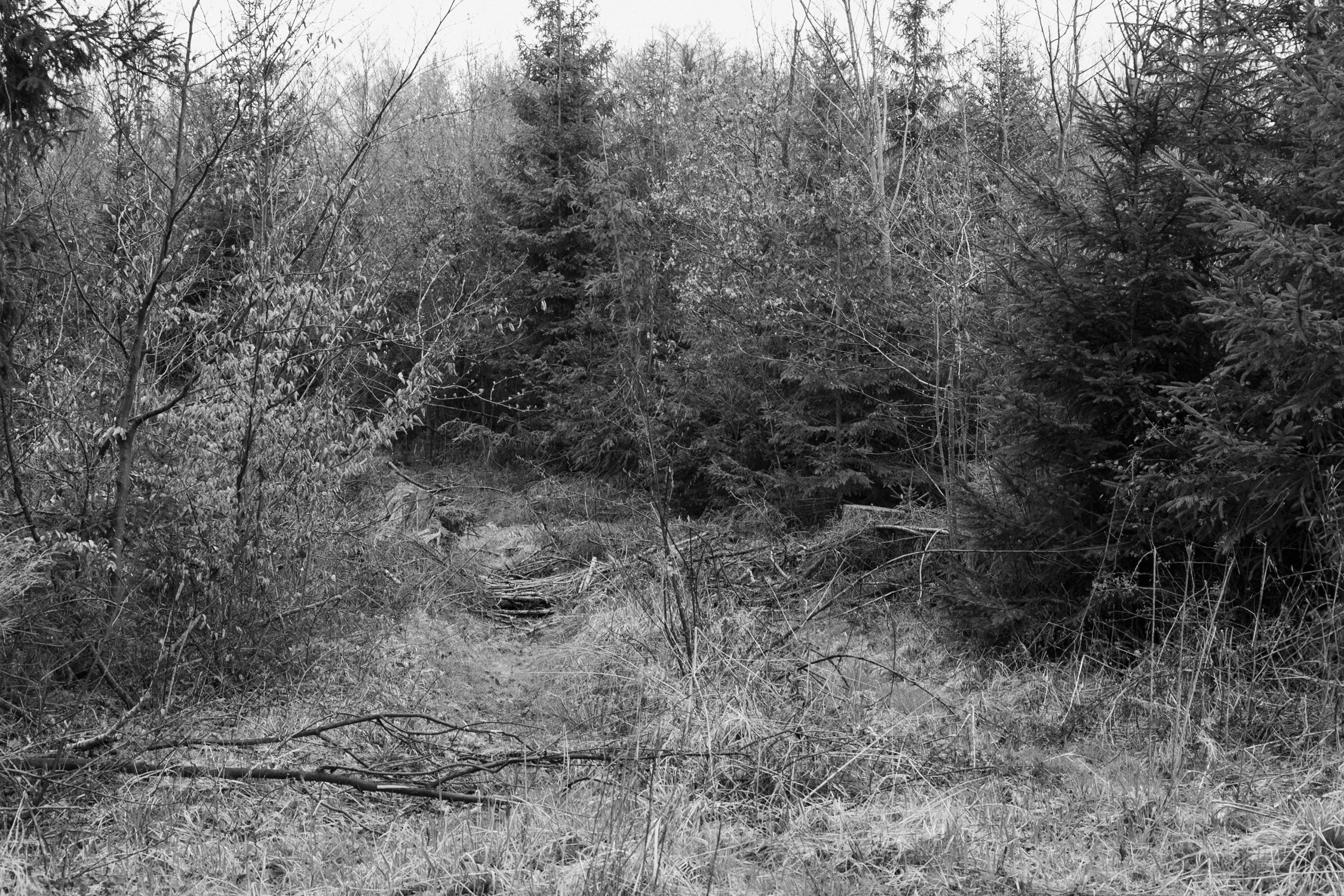 eisenbeiss_260412_1506.jpg