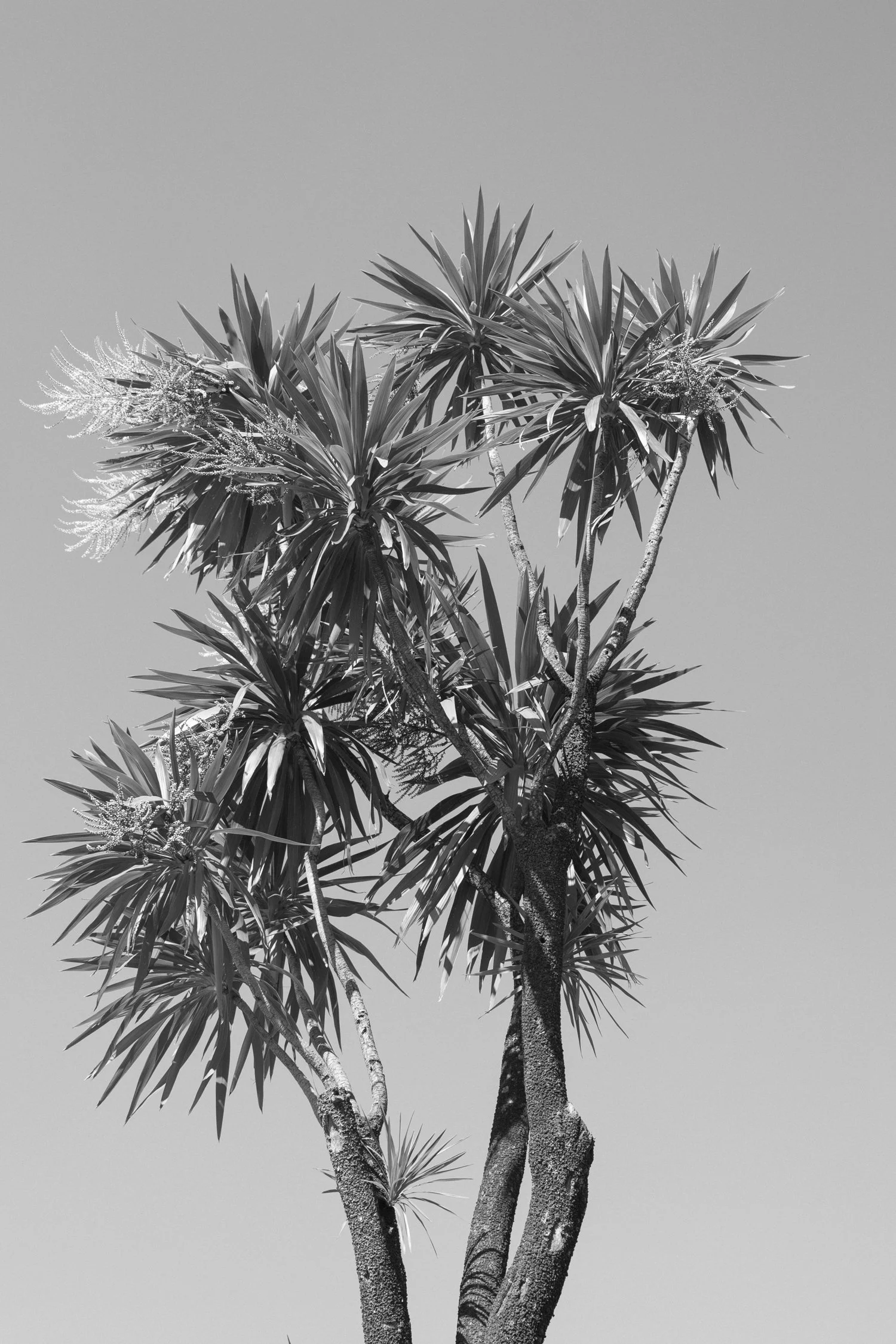 eisenbeiss_250501_6019.jpg