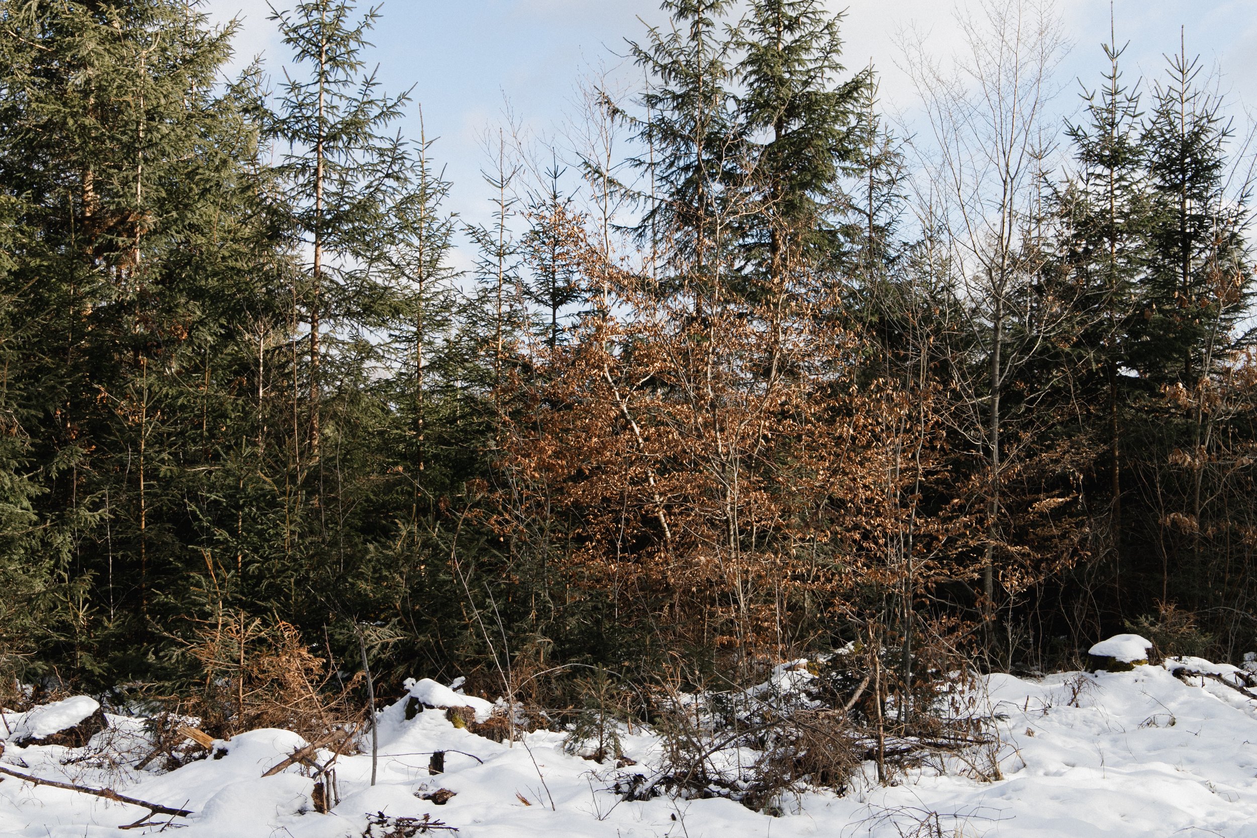 eisenbeiss_260201_9111.jpg