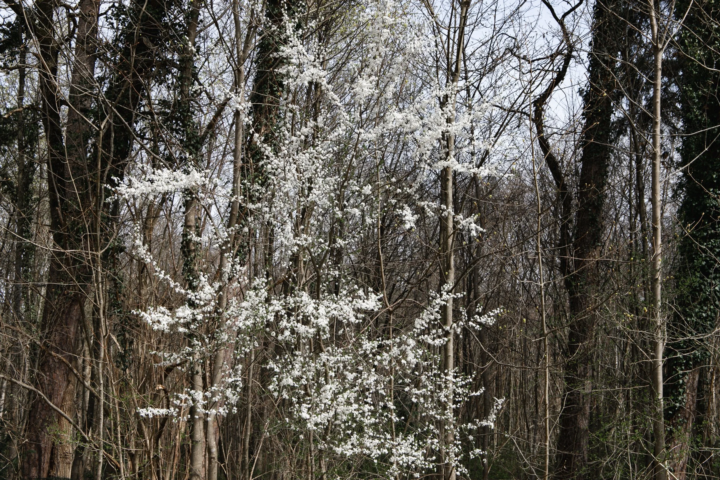 eisenbeiss_260409_1202.jpg