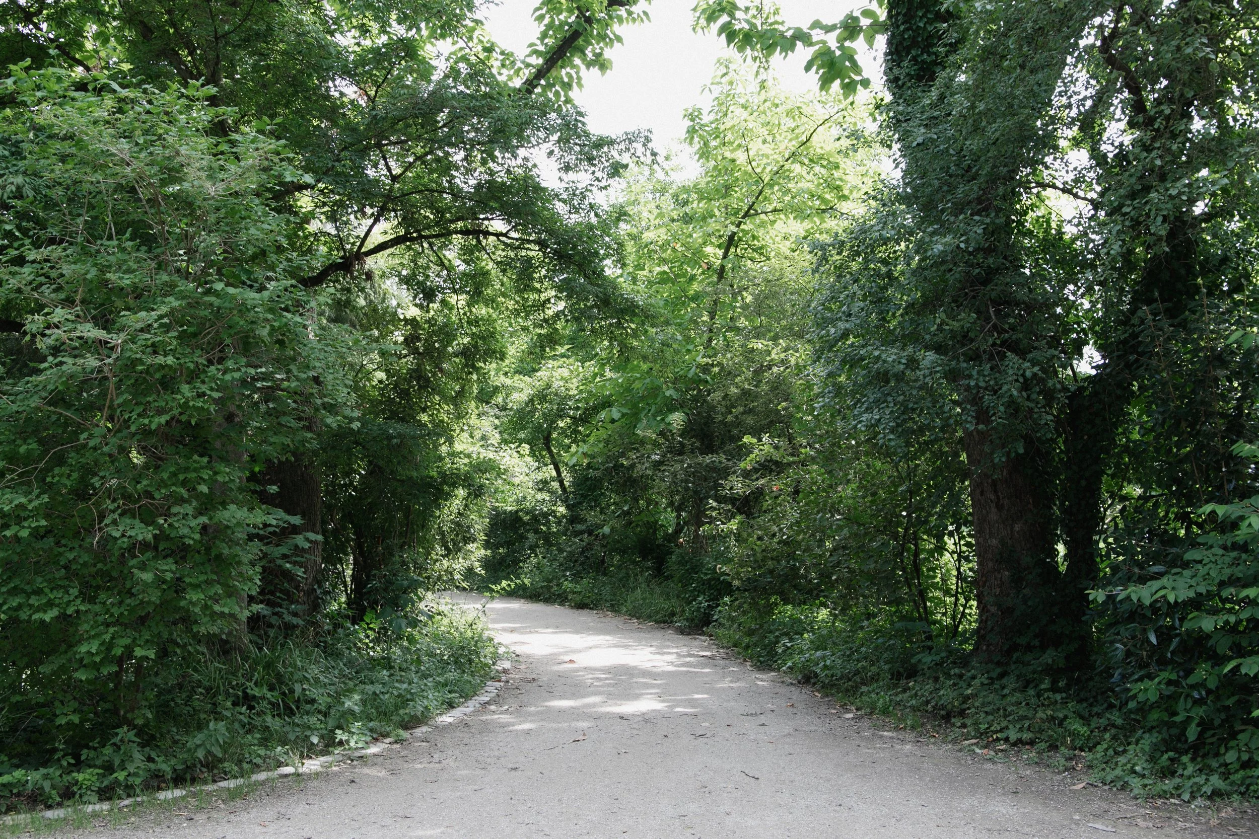 eisenbeiss_250718_3205.jpg