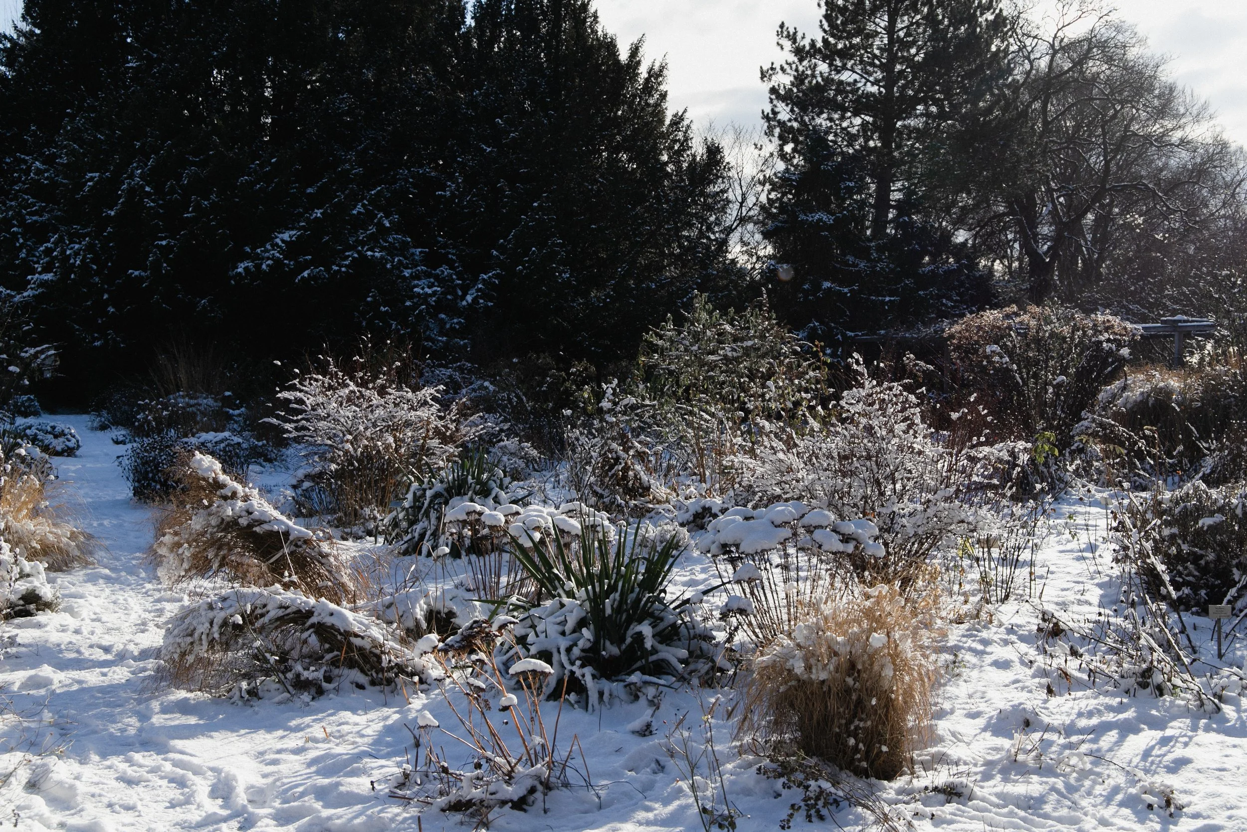 eisenbeiss_260103_6582.jpg