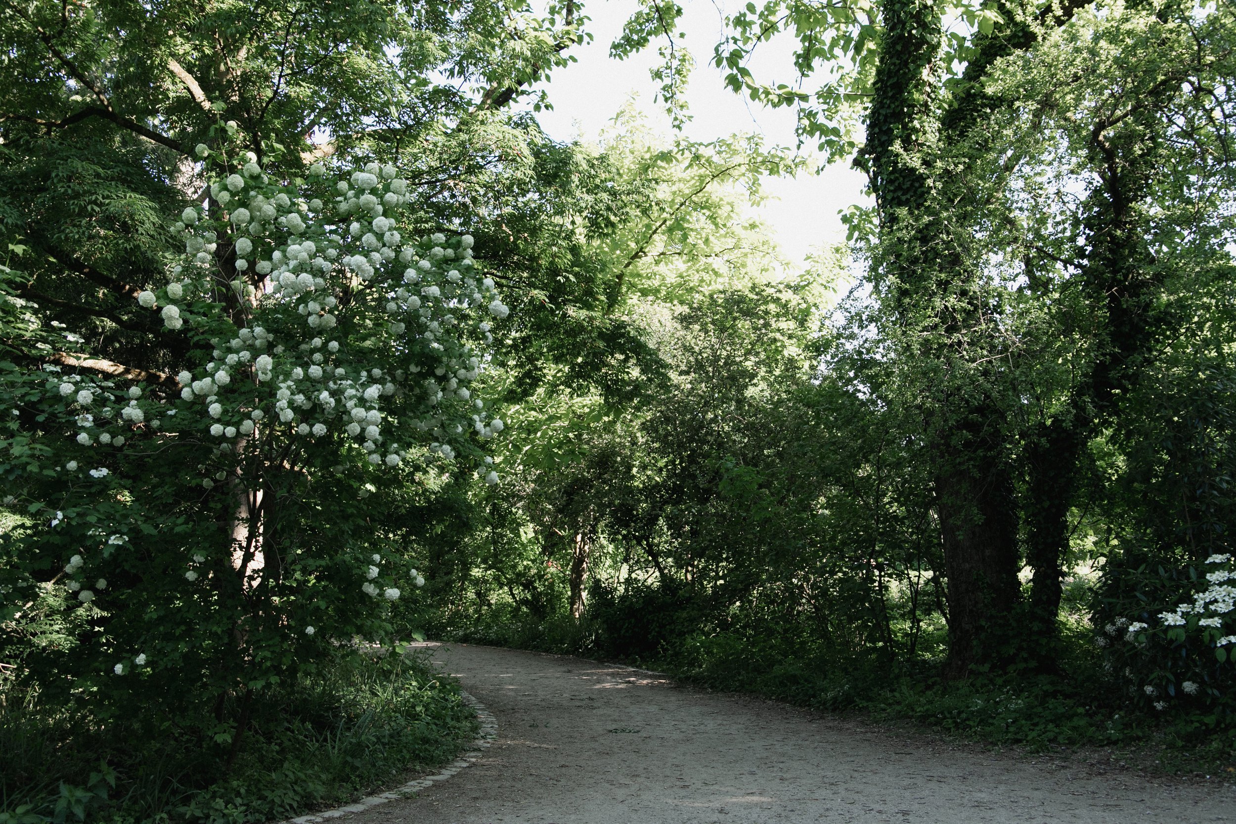 eisenbeiss_250510_7230.jpg