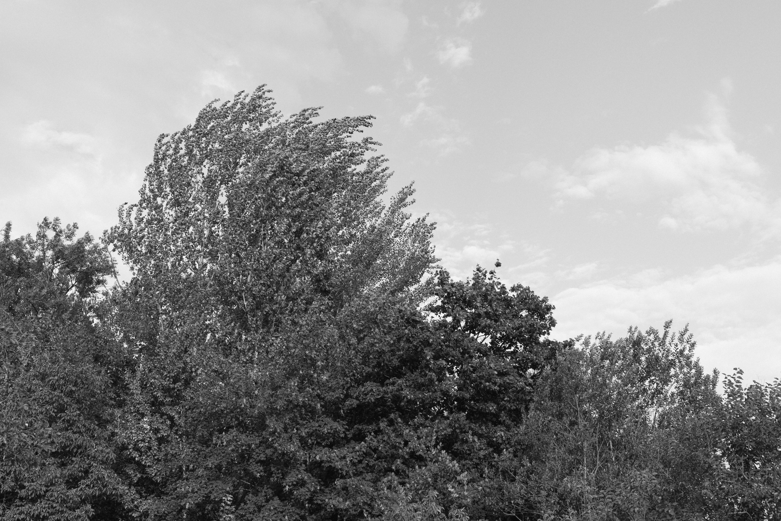 eisenbeiss_260810_0709.jpg
