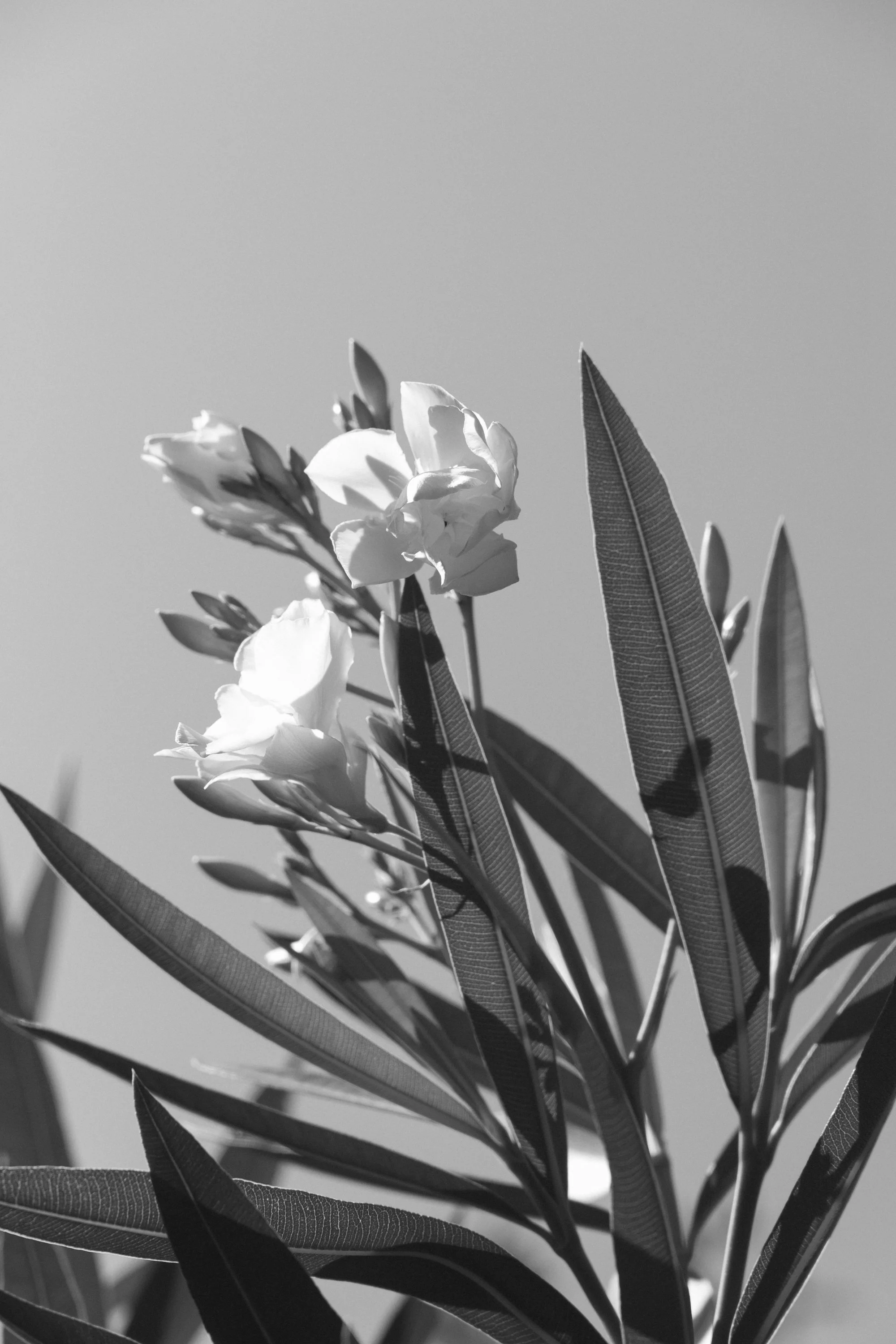eisenbeiss_260815_1127.jpg
