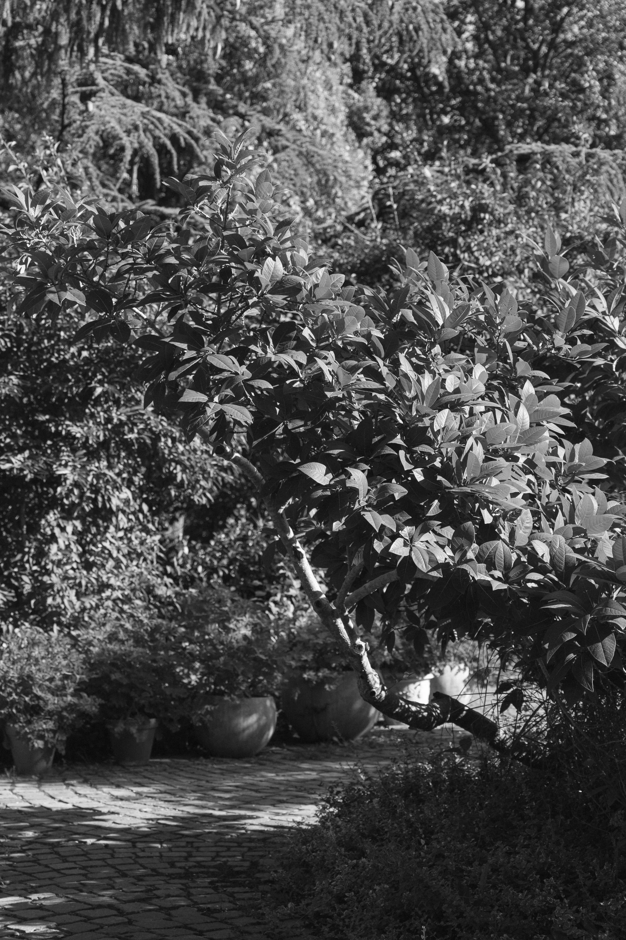 eisenbeiss_260819_1451.jpg