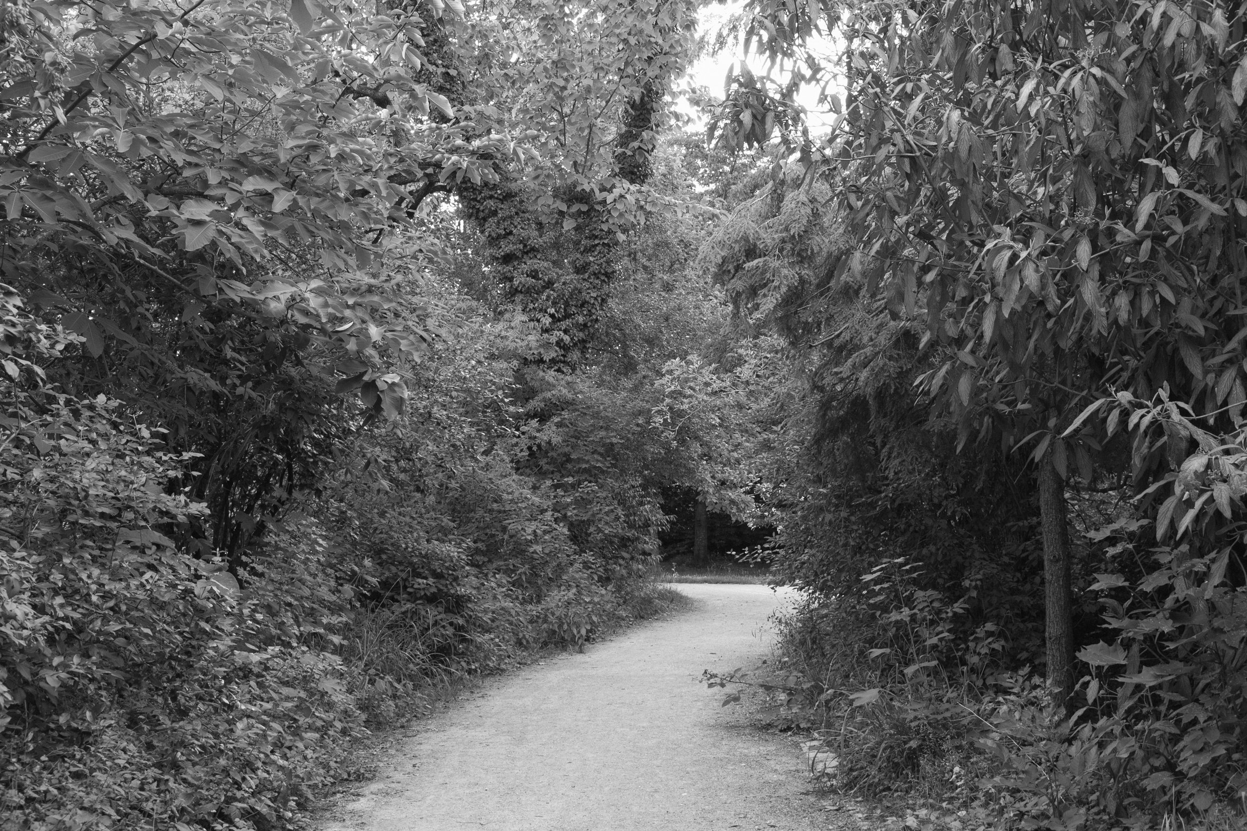 eisenbeiss_260622_6995.jpg