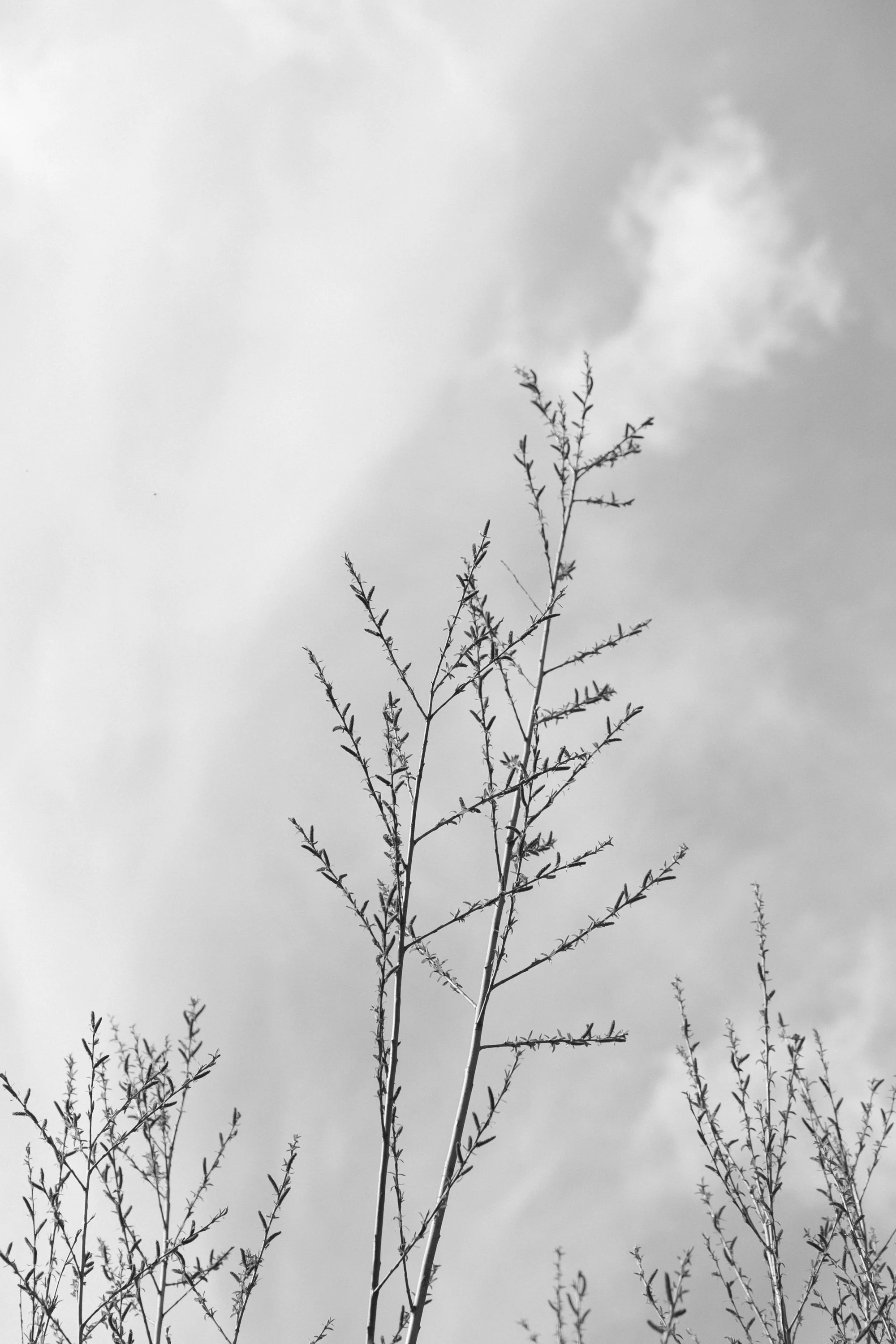 eisenbeiss_260406_1003.jpg