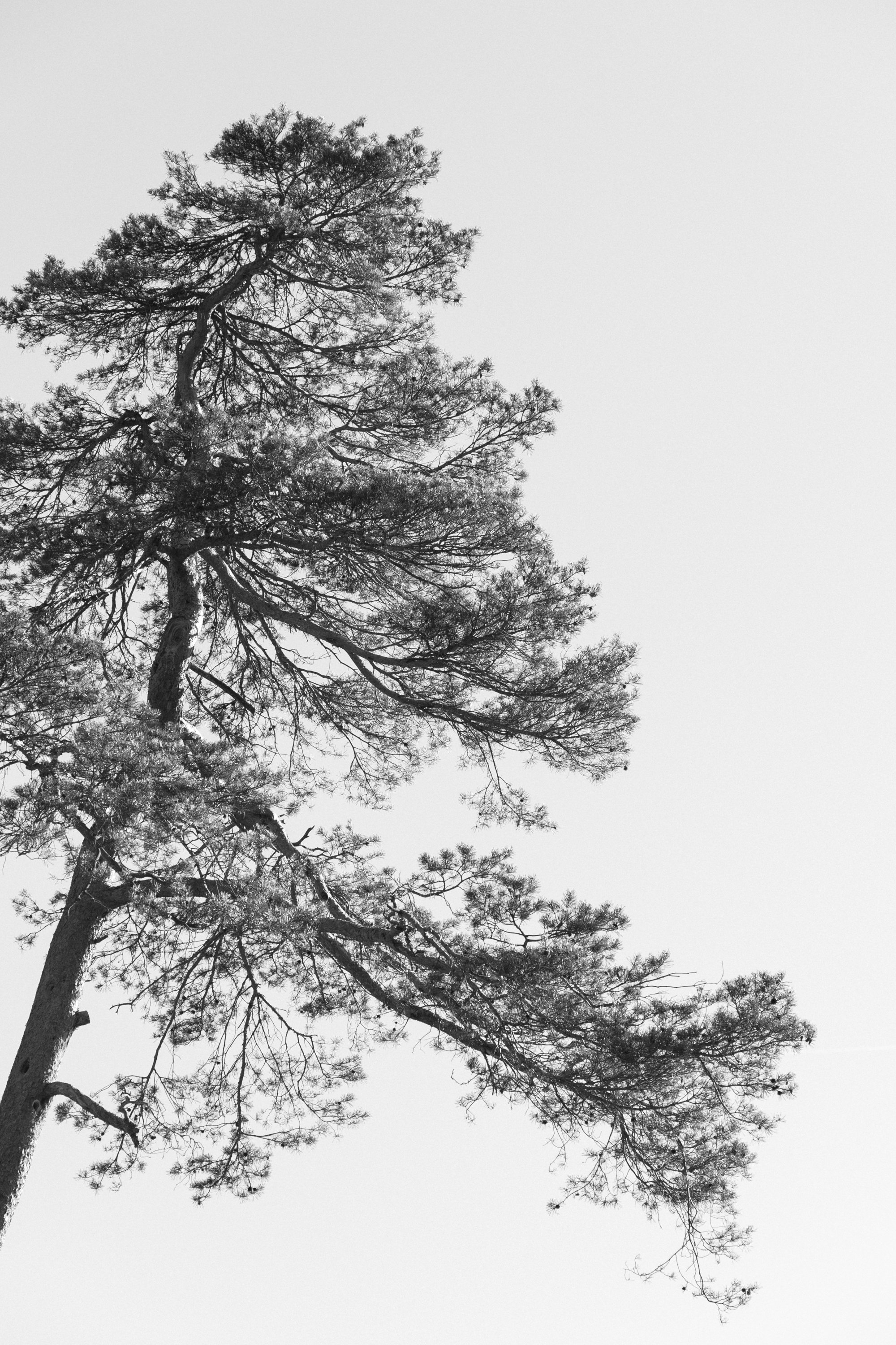 eisenbeiss_260227_1500.jpg