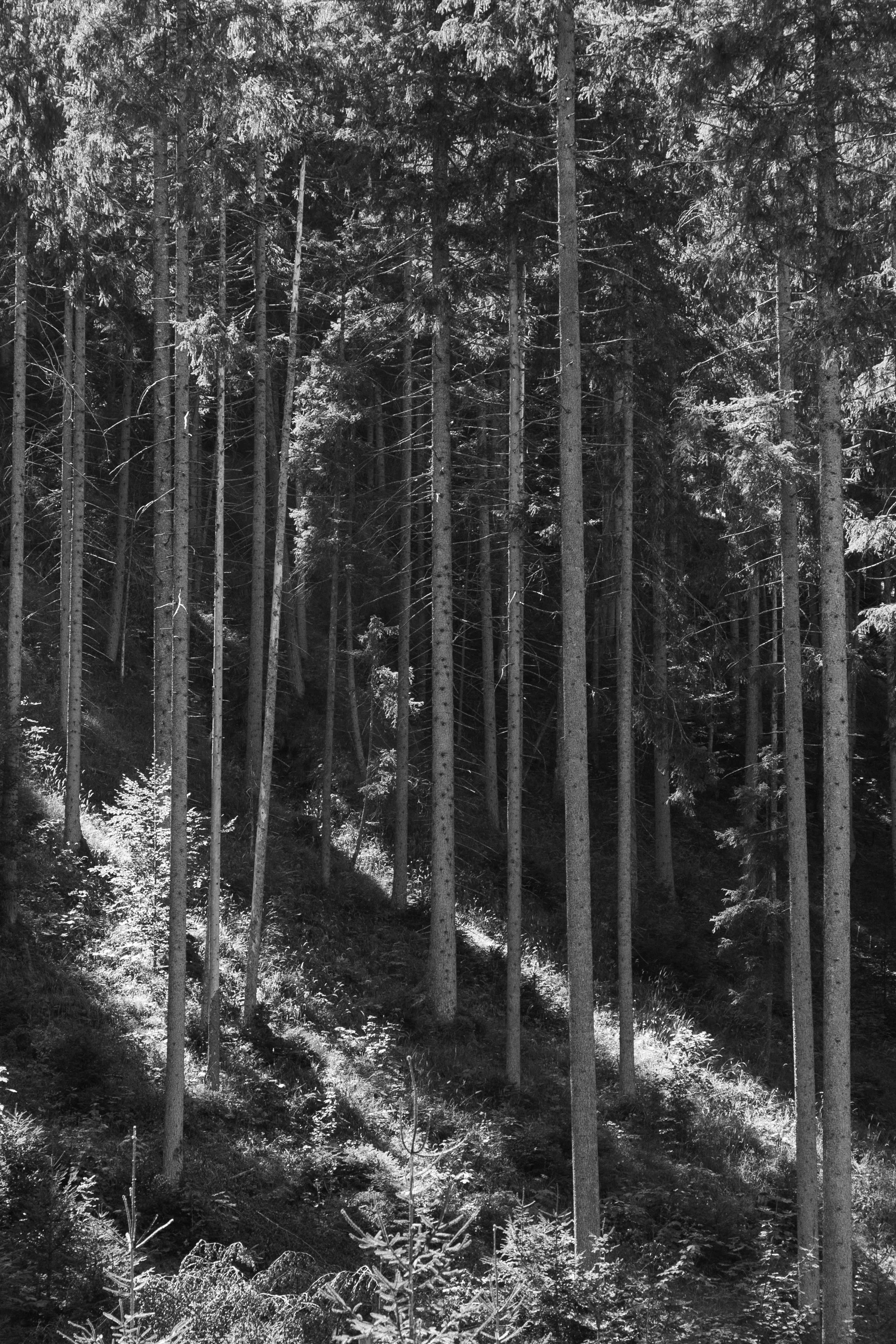 eisenbeiss_260830_2375.jpg