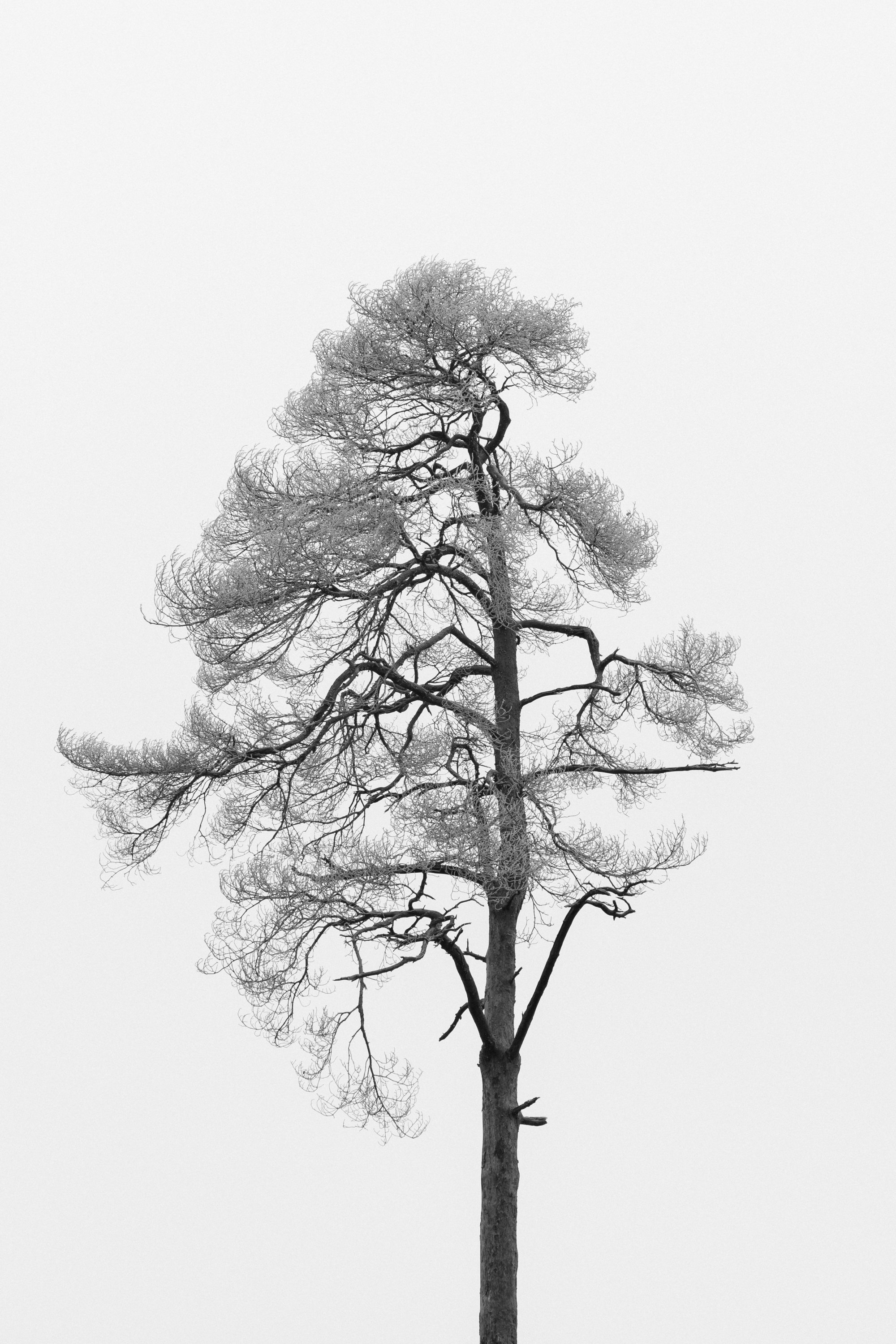 eisenbeiss_260118_8191.jpg