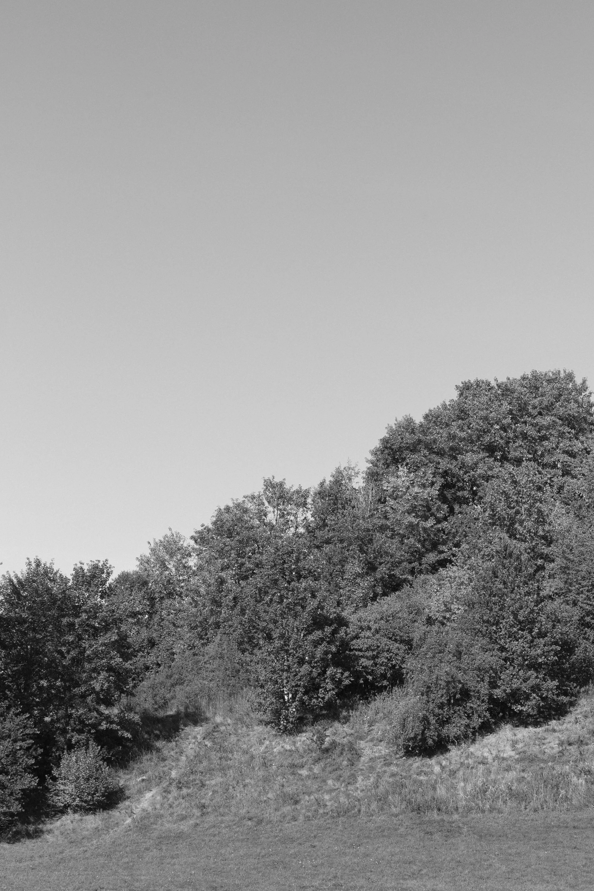 eisenbeiss_260906_3123.jpg