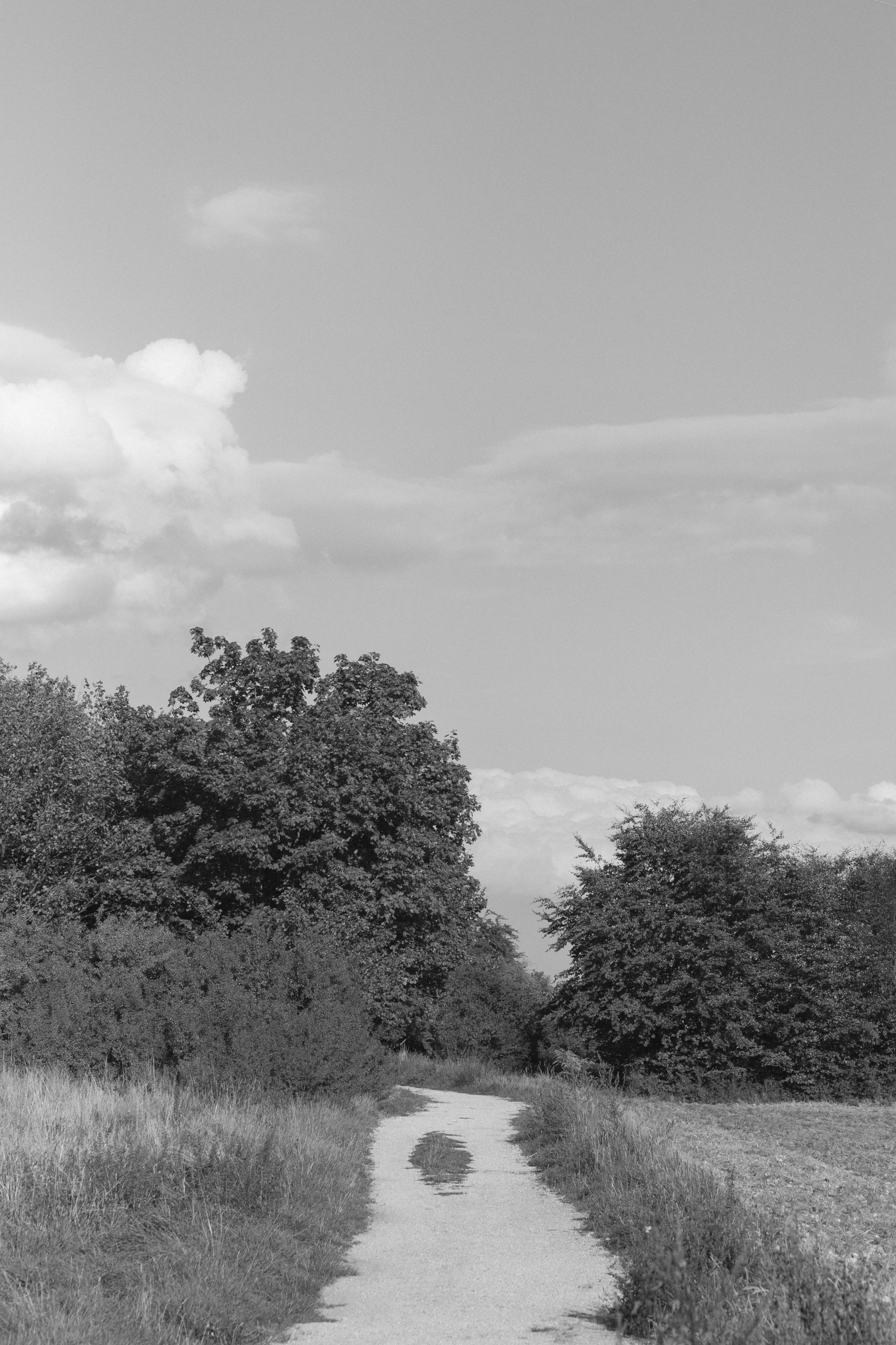 eisenbeiss_260826_1934.jpg
