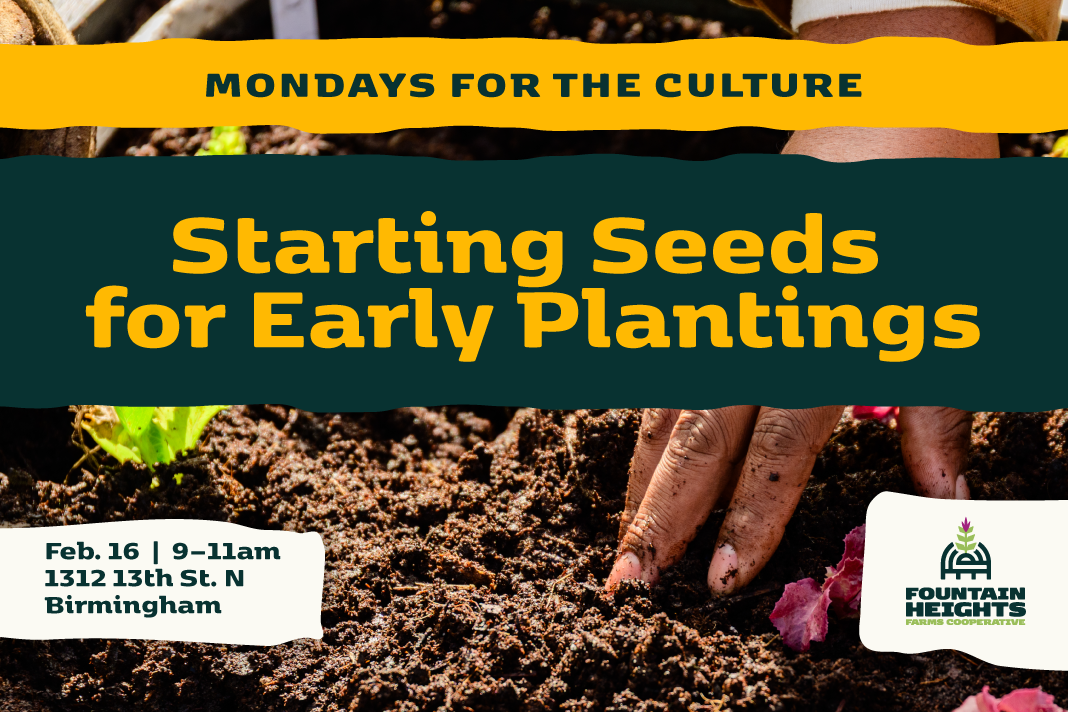Mondays for the Culture: Starting Seeds for Early Plantings