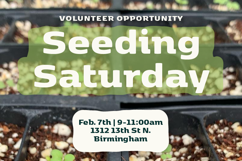 Volunteer Day – Seeding