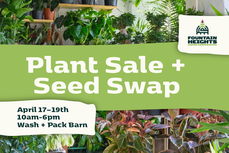 Plant sale and Seed swap