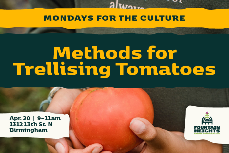 Mondays for the Culture: Methods for Trellising Tomatoes