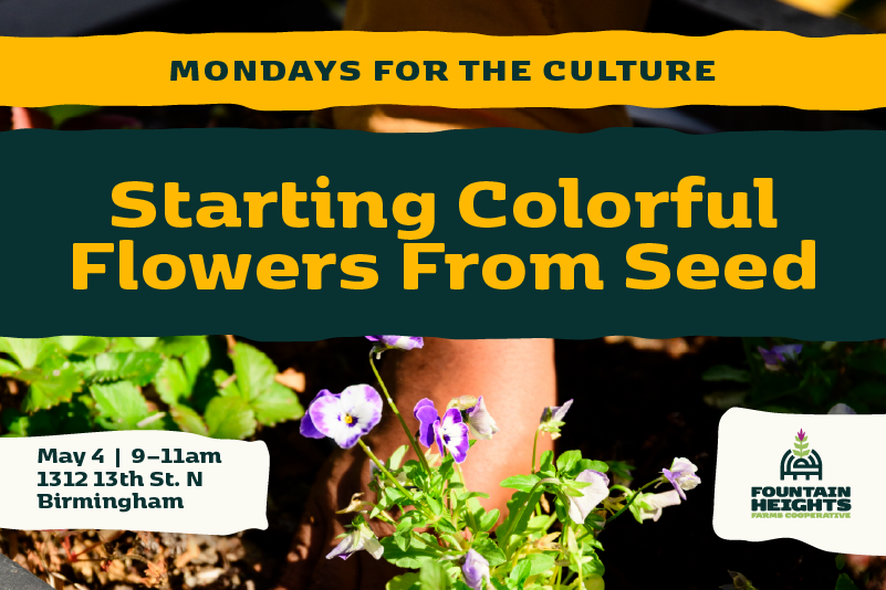 Mondays for the Culture: Starting Colorful Flowers from Seed
