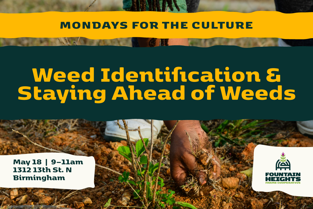 Mondays for the Culture: Weed Identification &amp; Staying Ahead of Weeds