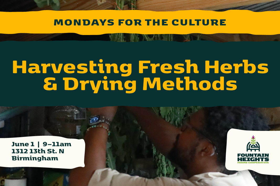 Mondays for the Culture: Harvesting Fresh Herbs &amp; Drying Methods