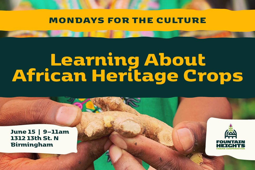 Mondays for the Culture: Learning About African Heritage Crops