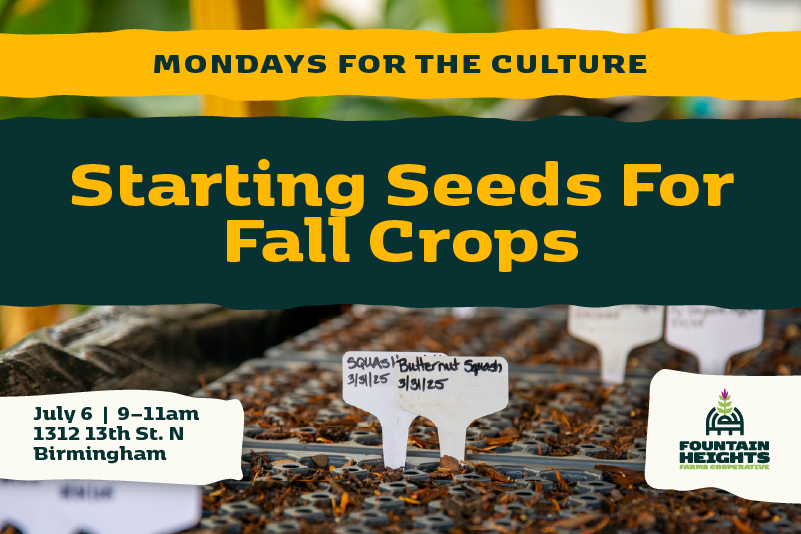 Mondays for the Culture: Starting Seeds for Fall Crops