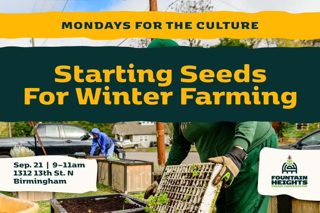 Mondays for the Culture: Starting Seeds for Winter Farming