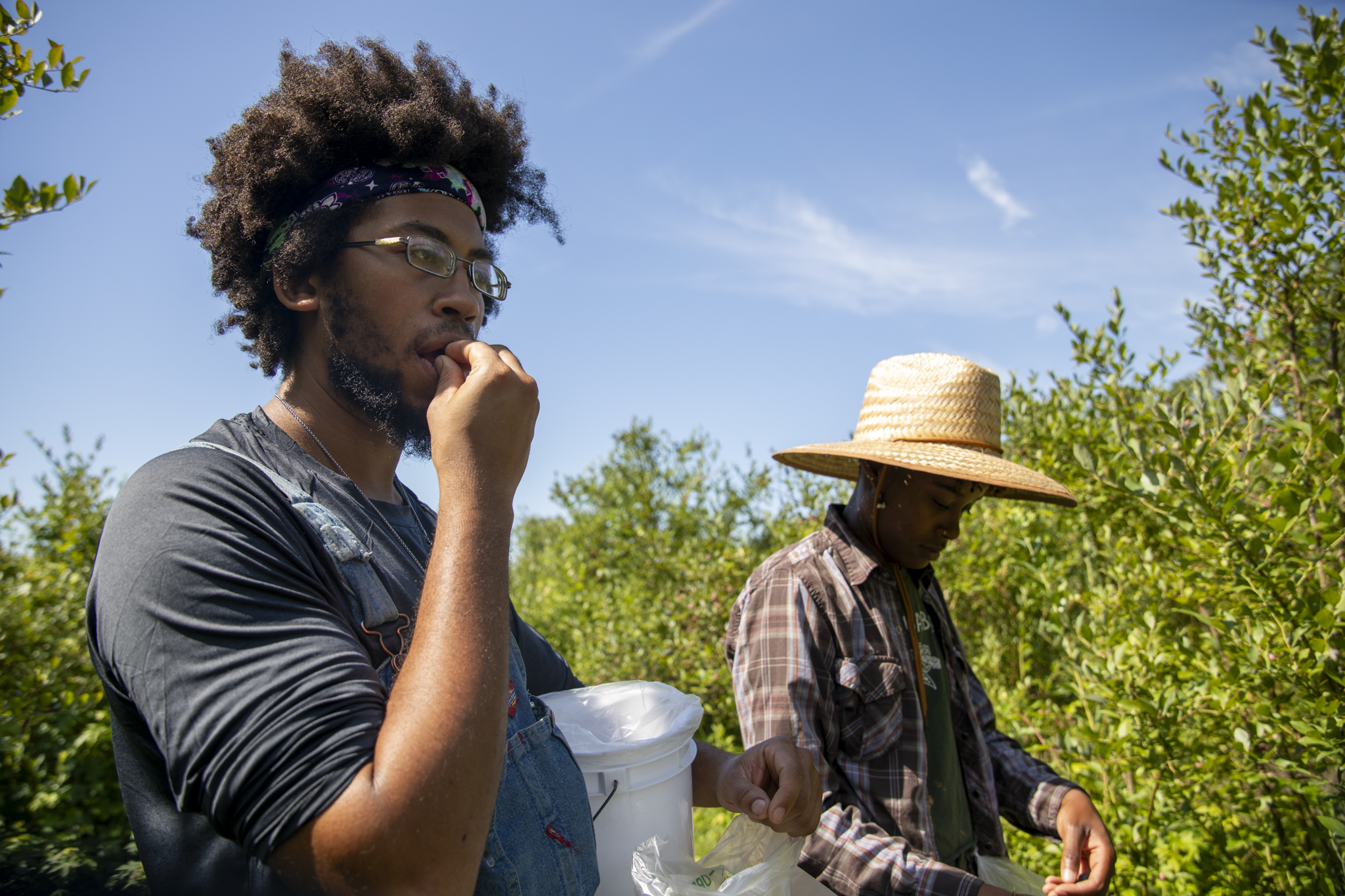 blueberryfarm-09.png