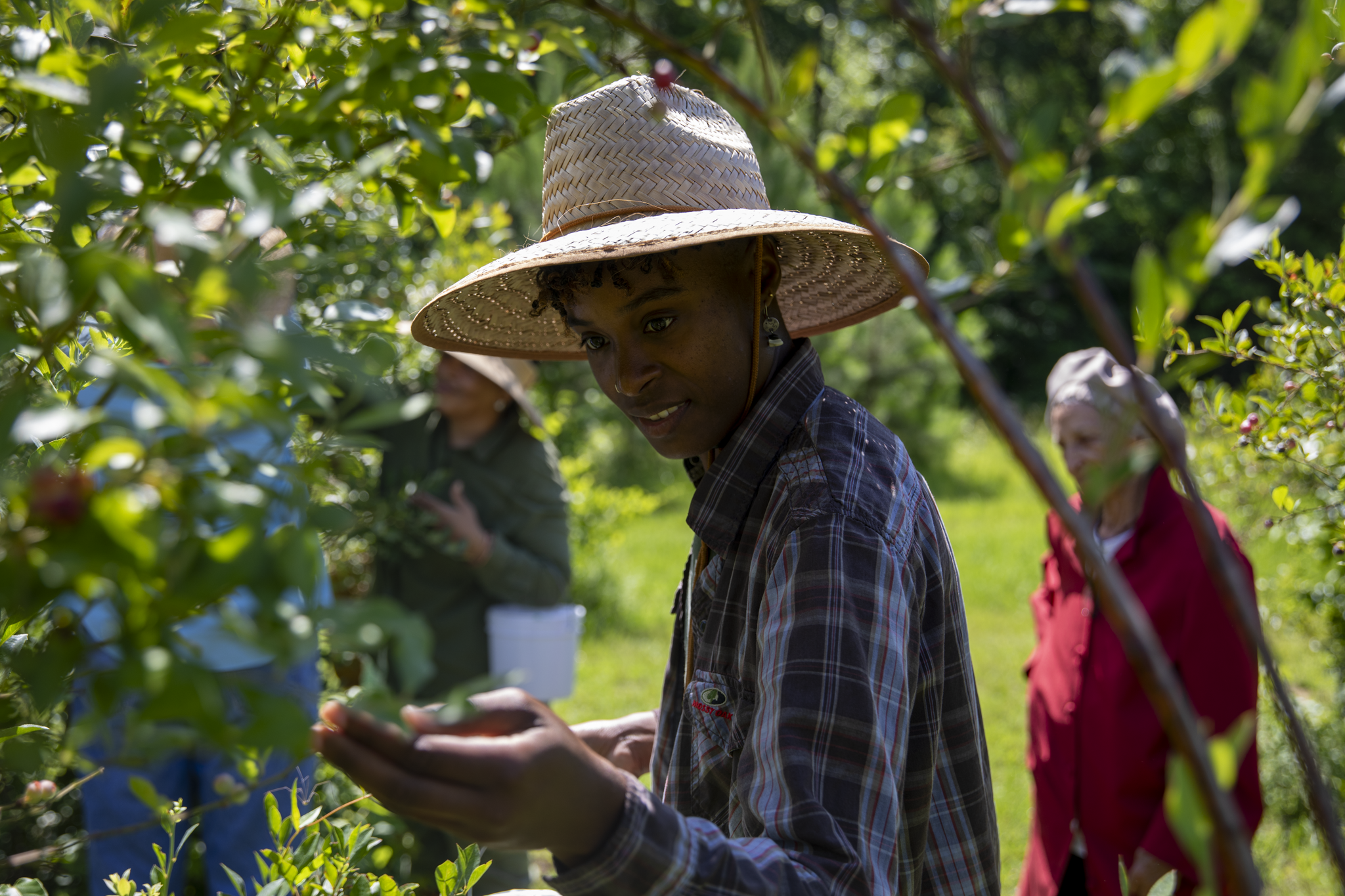 blueberryfarm-06.png