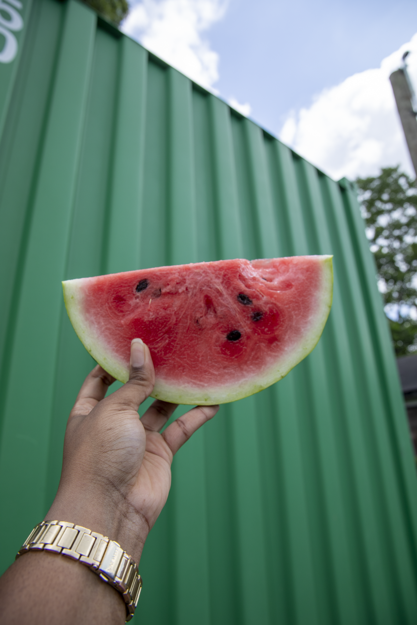 freshgreensmarket-09.png