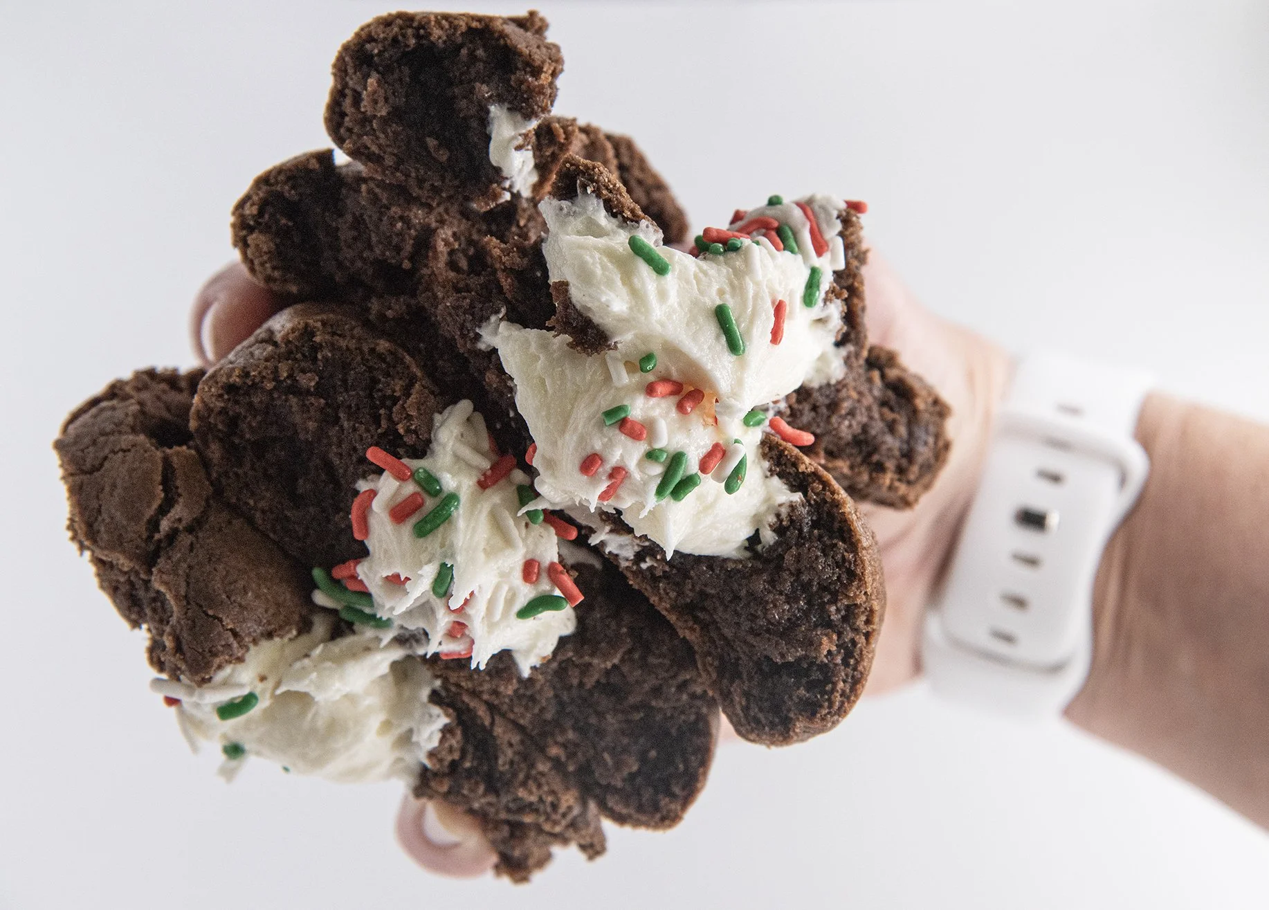 Hand_Smashed - Copy.jpg