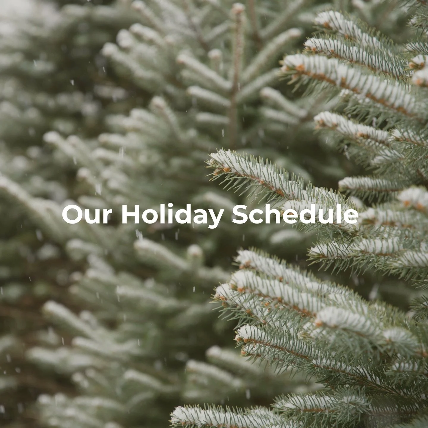 ✨Before things get too busy, here&rsquo;s a snapshot of our December schedule✨

We will be closed for vacation December 15th&ndash;22nd, and have added extra hours on Sunday, December 14th for those wanting to get in before our time away!

Holiday Sc