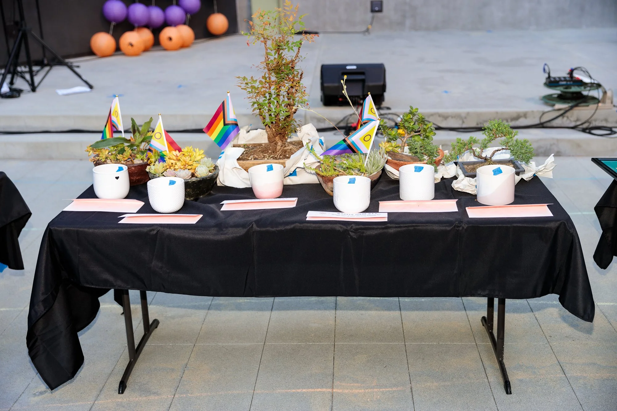 2024-06-29 Okaeri Queer Matsuri Photos by Willa Cutolo SOCIALS-166.jpg