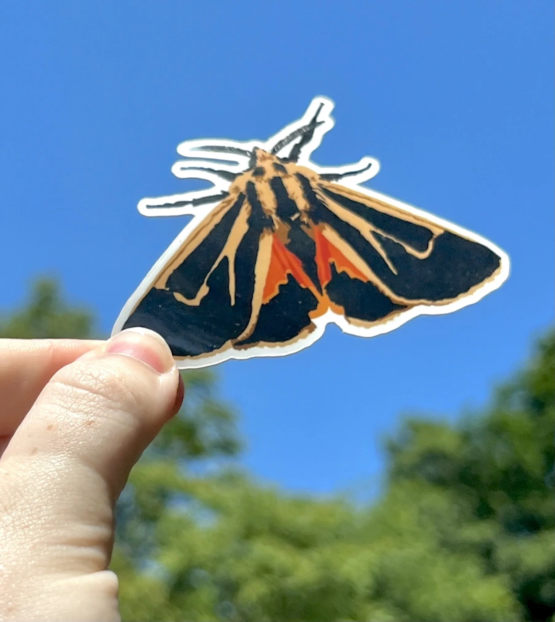 Banded Tiger Moth Sticker