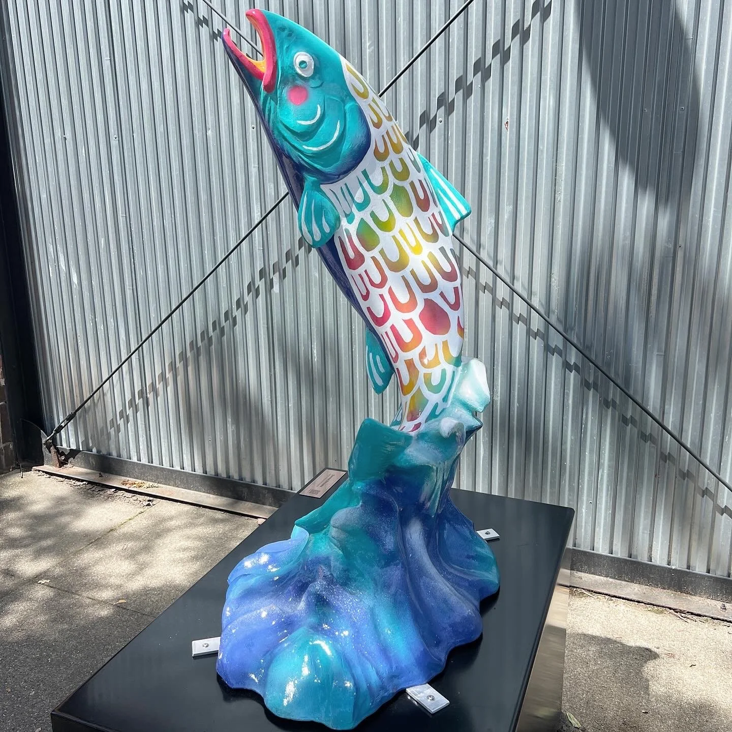 942DDB9D-84B6-428B-9DA5-0DD0AC13450B 2.JPG