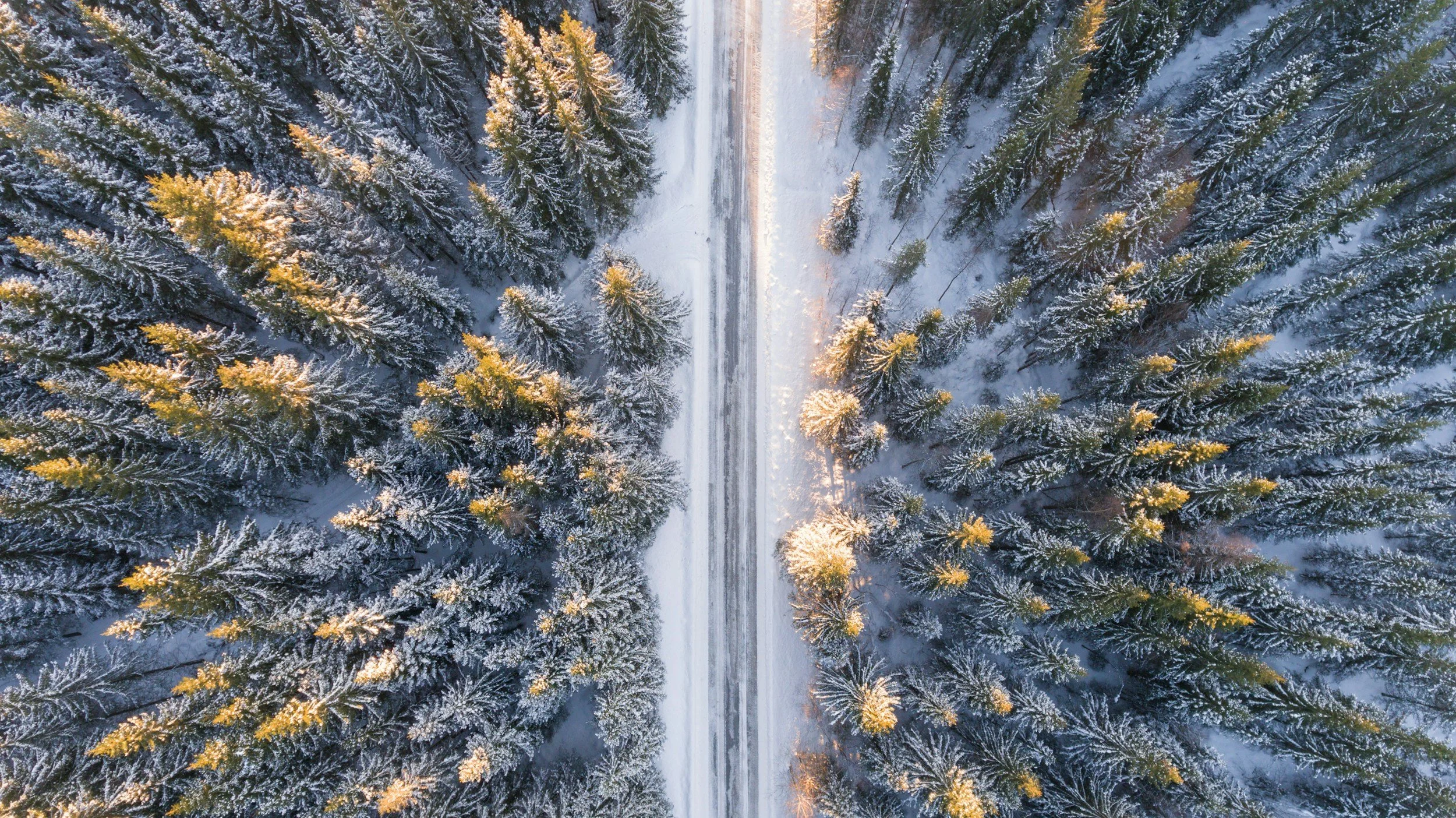 An aerial view of a snow-covered forest with tall trees on either side of a snow-covered road.