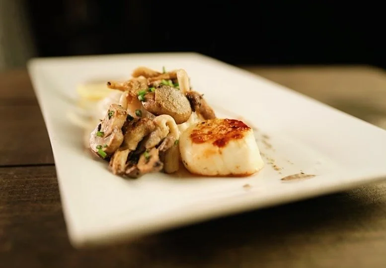 Scallop App 3.jpg