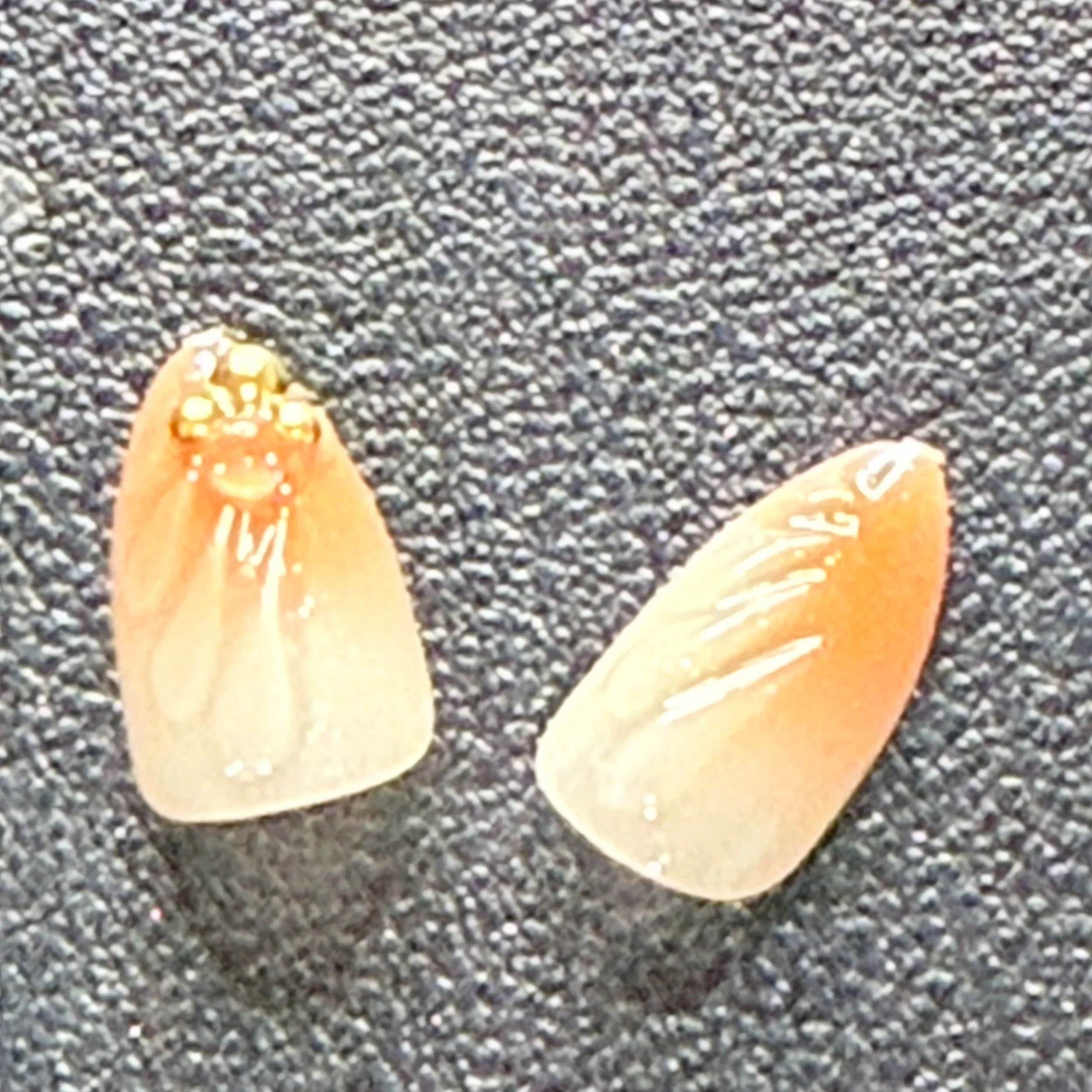 IMG_0896.jpg