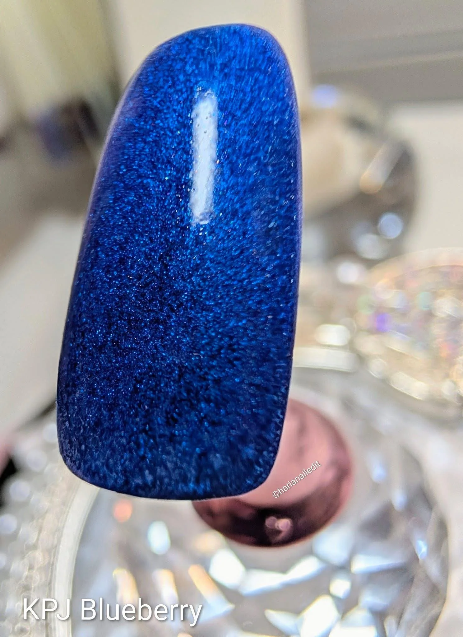 Blueberry - Item#012-019