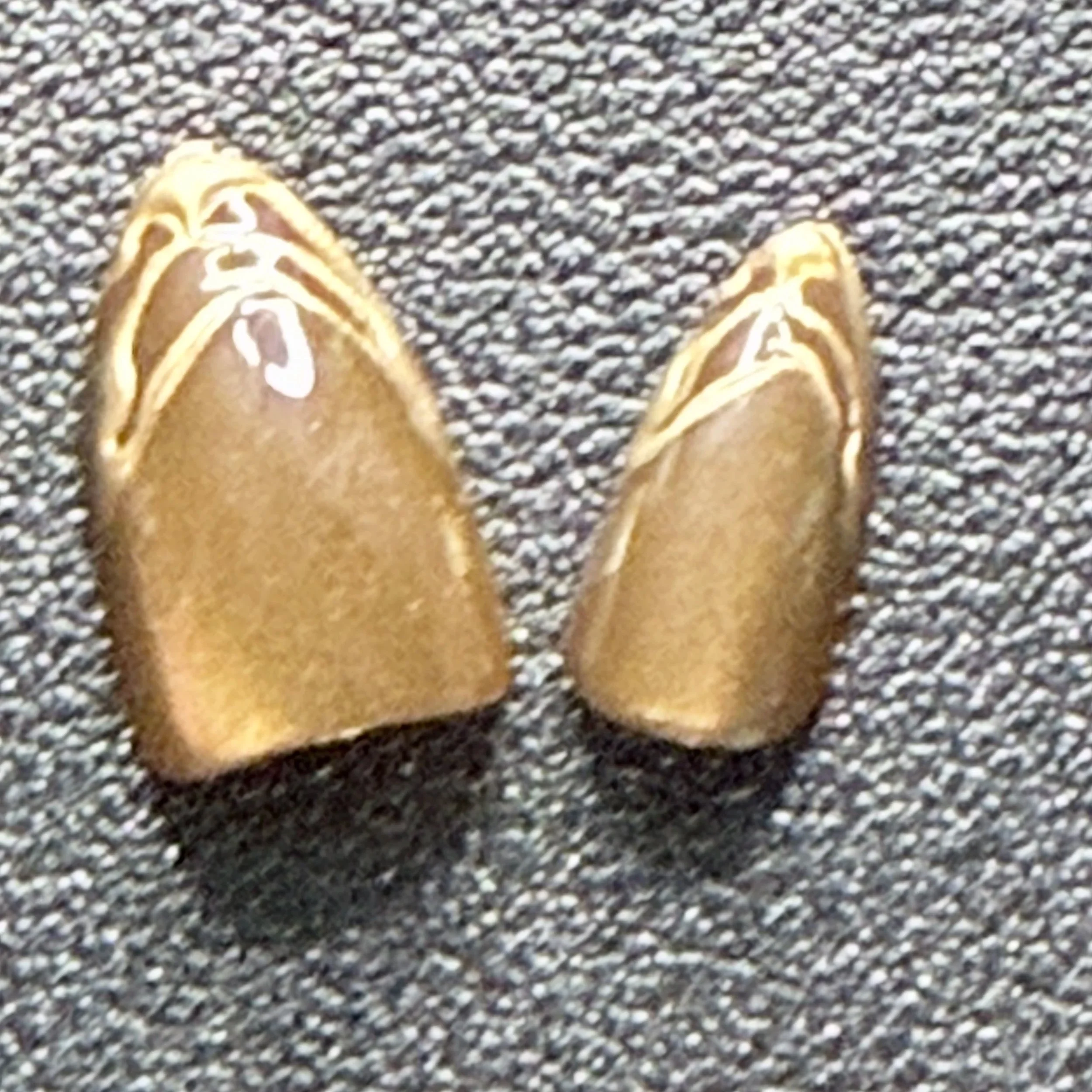 IMG_0880.jpg