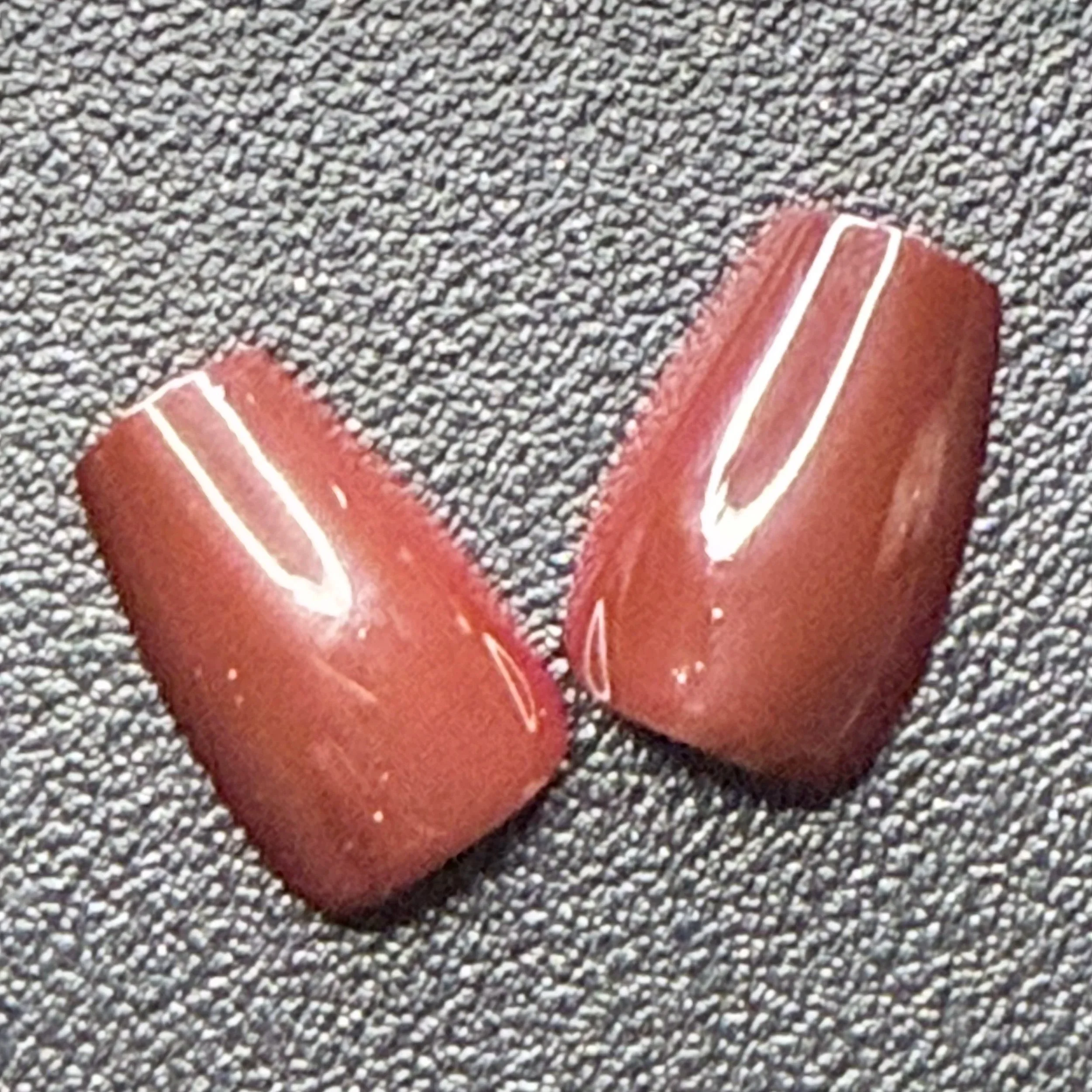 IMG_0653.jpg