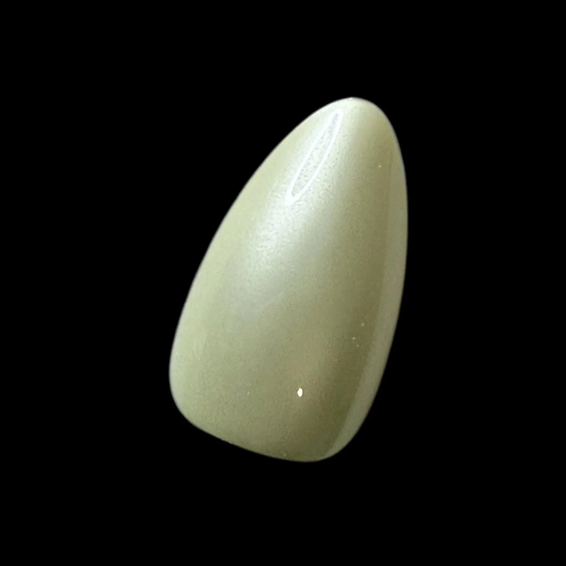 Photoroom_20260403_134956.jpg