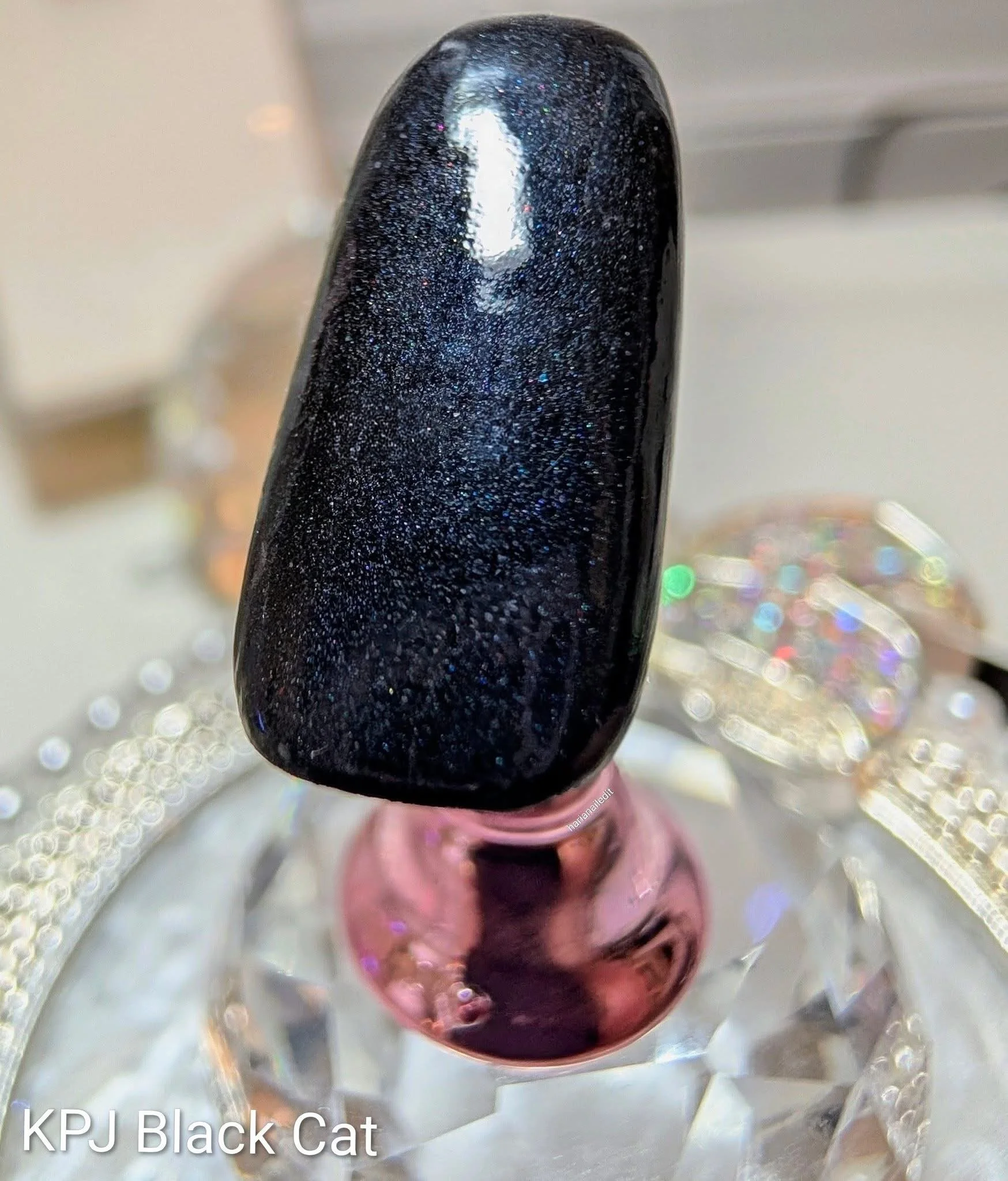 Black Cat- Item#012-008