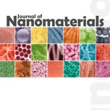 Development for high-accuracy in-vitro assay of vascular endothelial growth factor using nano-magnetically labeled immunoassay