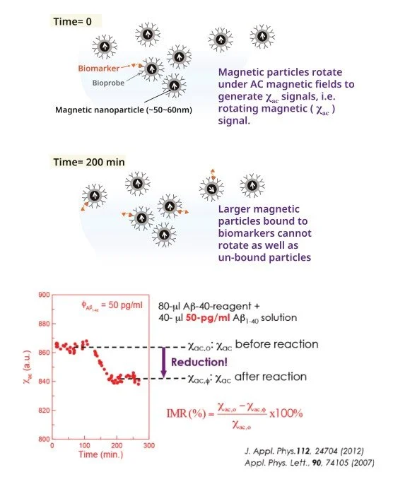 Diagram showing the movement of magnetic nanoparticles used as biomarkers in a reaction process. At time 0, small magnetic nanoparticles are manipulated by AC magnetic fields to generate signals. After 200 minutes, larger magnetic particles bound to biomarkers cannot rotate as freely, indicating a reaction. The graph depicts changes in the magnetic signal over time, with a reduction in the signal after the reaction, indicating biomarker concentration measurement.