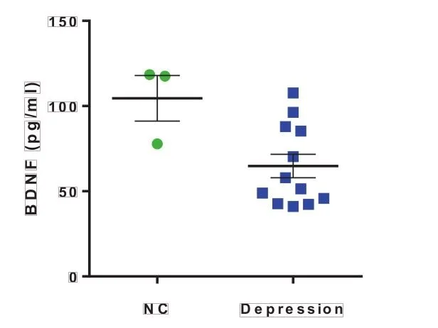 Box plot comparing levels of BDNF (brain-derived neurotrophic factor) in nanograms per milliliter between a control group and a depression group, with individual data points and error bars showing the mean and variability.